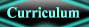 Curriculum